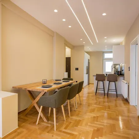 Urban Spacious Apartment Near Kallimarmaron Athens Exterior photo