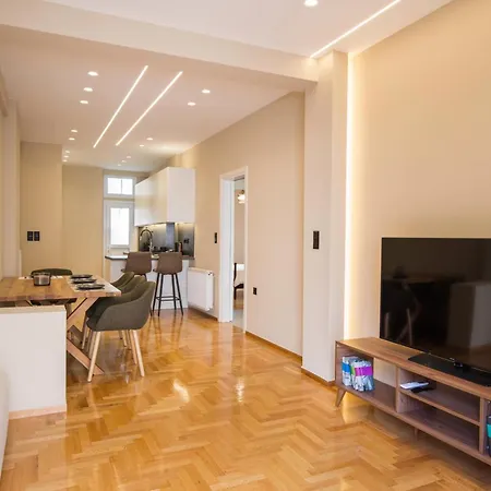 Urban Spacious Apartment Near Kallimarmaron Athens Exterior photo