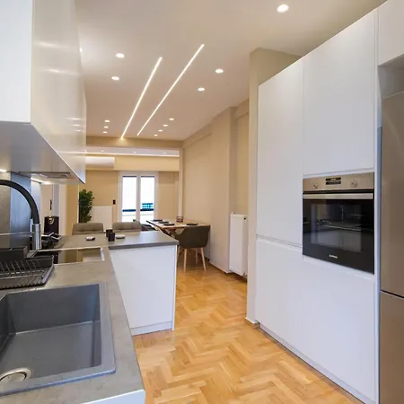 Urban Spacious Apartment Near Kallimarmaron Athens Exterior photo