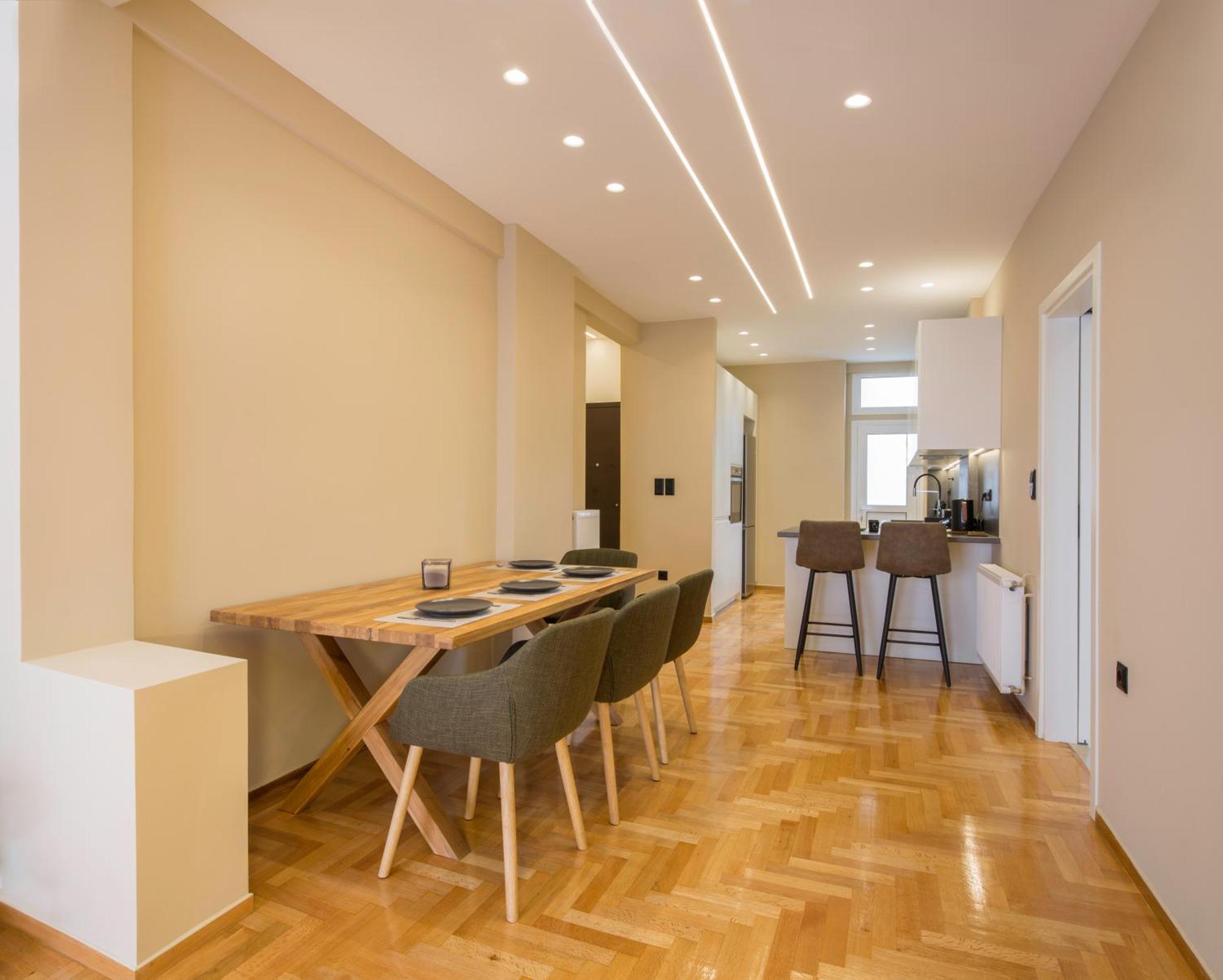 Apartment Urban Spacious Near Kallimarmaron Athens